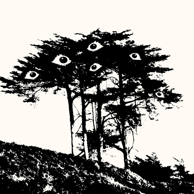 Alibi by The Codependence
