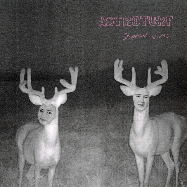 Astroturf by Stepford Wives
